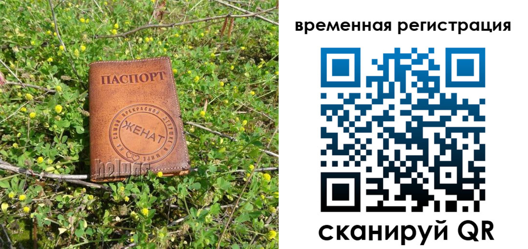 прописка регистрация в Малой Вишере